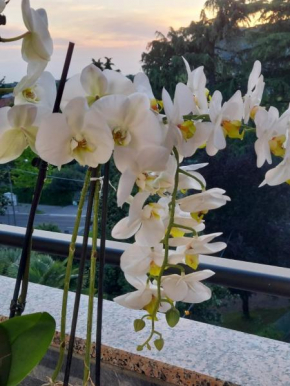 Alloggio Orchidea Monfalcone